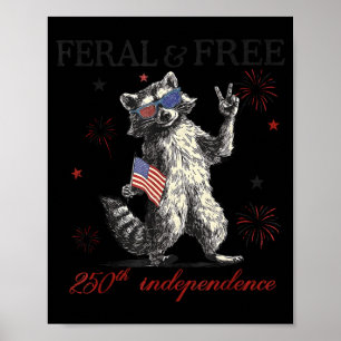 Affiche Raton laveur sauvage mais drapeau 250e anniversair