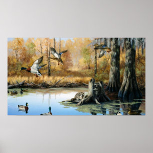 Affiche Raton laveurs envahissent l'étang aux canards