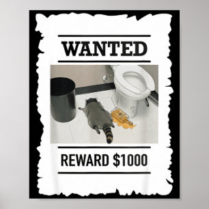 Affiche Ratons laveurs ivres drôles recherchés récompense
