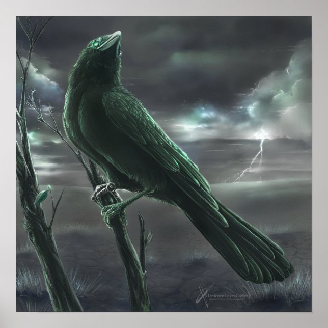 Affiche Raven bot (Devant)