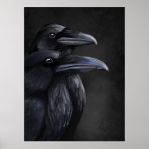 Affiche Raven Shadows : Duo mystique à Noir