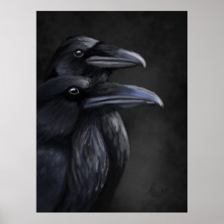 Affiche Raven Shadows : Duo mystique à Noir
