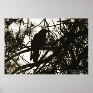 Affiche Raven Steampunk