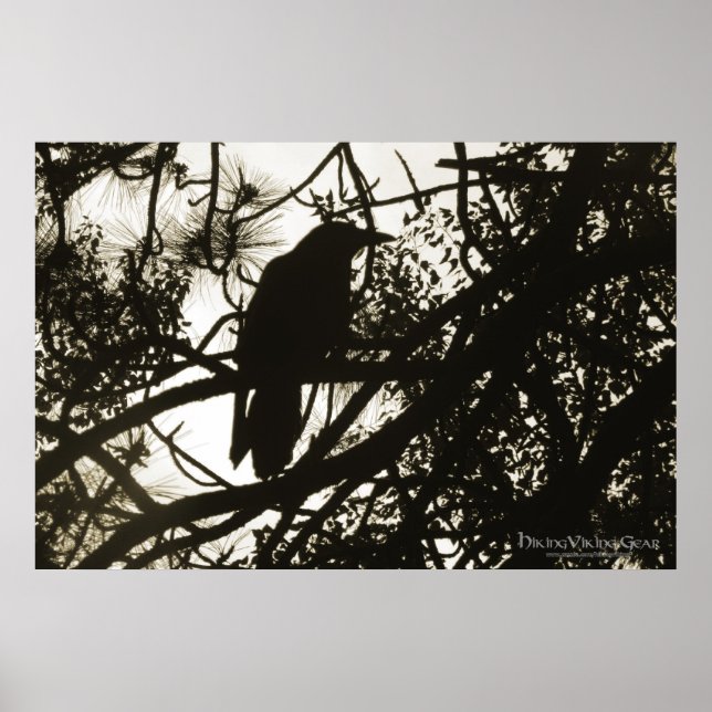 Affiche Raven Steampunk (Devant)