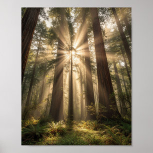 Affiche Rayons de soleil à travers les géants anciens