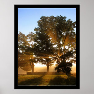 Affiche Rayons lumineux 4