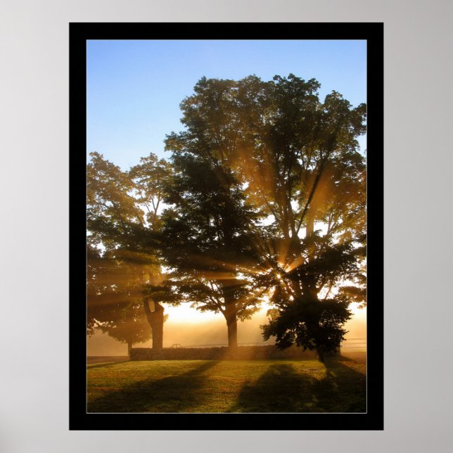 Affiche Rayons lumineux 4 (Devant)