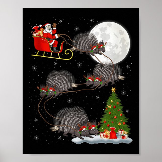 Affiche Rcune Santa Sleigh Flying Funny Magical Christmas  (Devant)