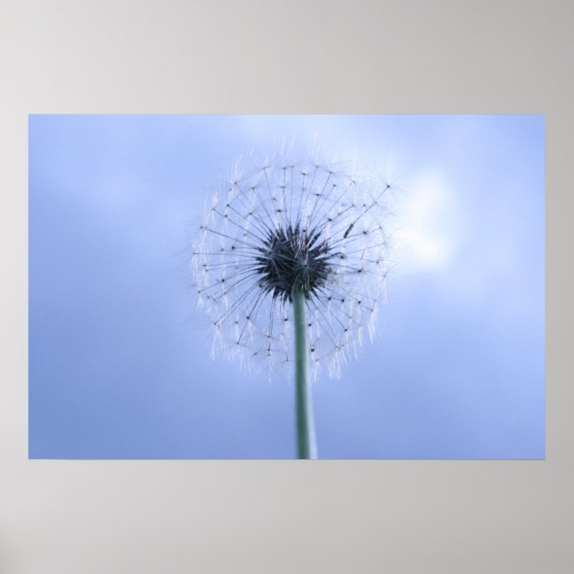 Affiche Réaliser les voeux (Devant)