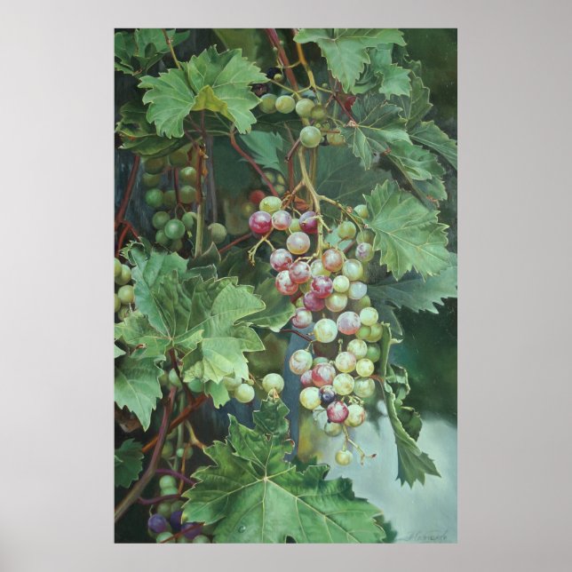Affiche Realistic Grape Vine with Leaves – Fine Art (Devant)
