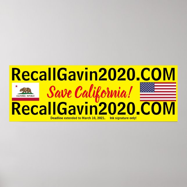 Affiche recallgavin2020 36x12 (Devant)