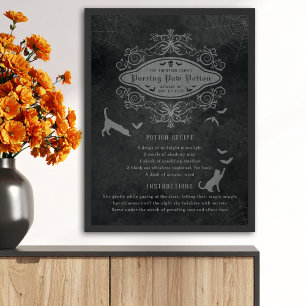 Affiche Recette de potion de chats et chauves-souris amusa