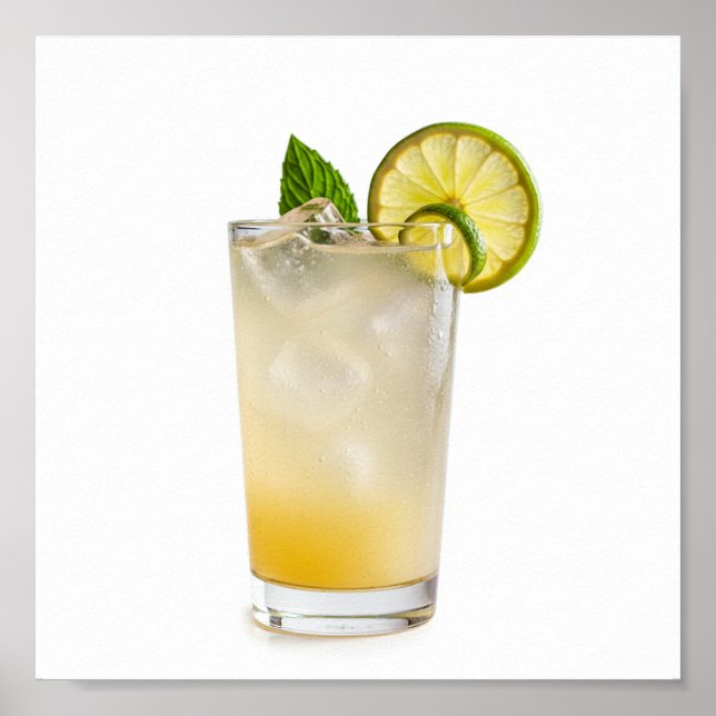 Affiche Recette Gin Fizz (Devant)