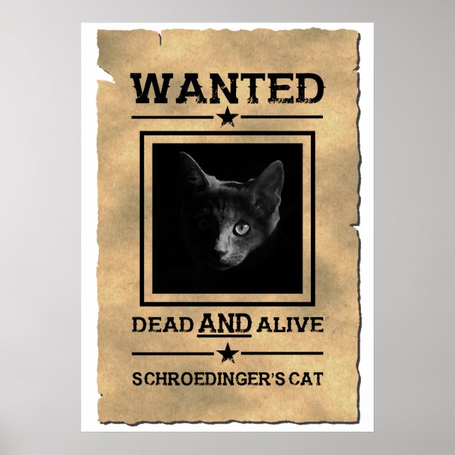 Affiche Recherchée de Schroedinger's Cat | Plaisan (Devant)
