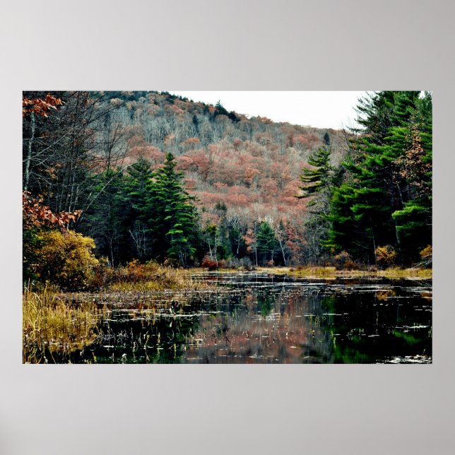 Affiche Rechercher et trouver l'affiche (Devant)