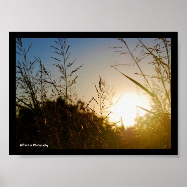 Affiche Récolte au lever du soleil (Devant)