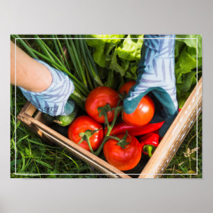 Affiche Récolte d'affiches