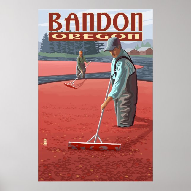 Affiche Récolte de canneberges - Bandon, Oregon (Devant)