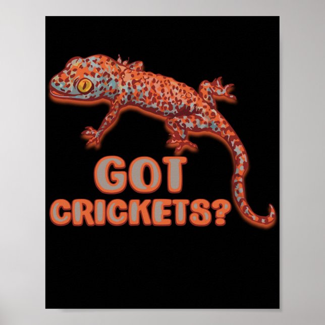 Affiche Récolte de cricket Reptile Gecko Animaux de nouvea (Devant)