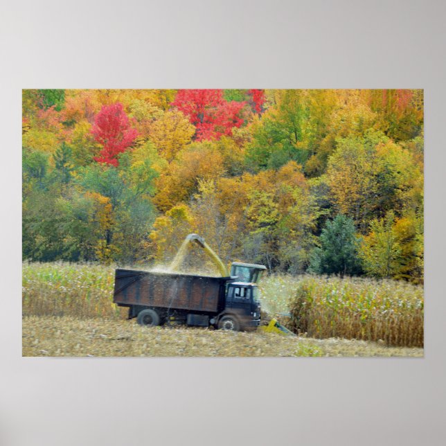 Affiche Récolte de maïs dans le Vermont (Devant)