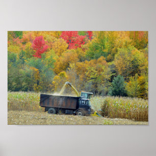 Affiche Récolte de maïs dans le Vermont