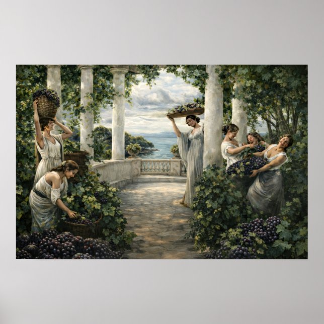 Affiche Récolte de raisin dans un vignoble méditerranéen (Devant)