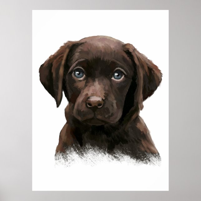 Affiche Récupérateur de chocolat Labrador (Devant)