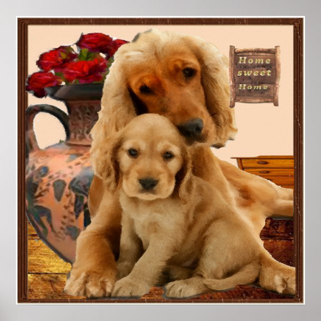 Affiche Récupérateur Labrador (Devant)
