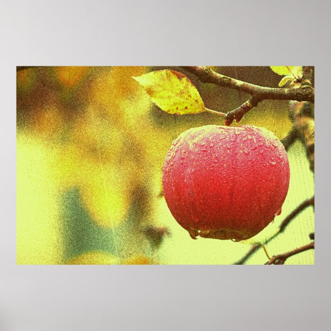 Affiche "Red Apple" Cute Photo. Buy Now (Devant)