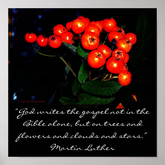 Affiche Red berries with Martin Luther quote print (Devant)