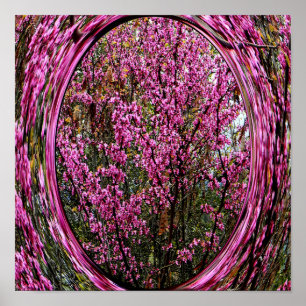 Affiche Red Bud tree....