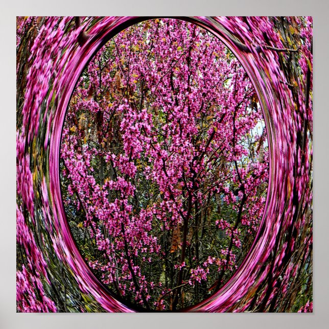 Affiche Red Bud tree.... (Devant)