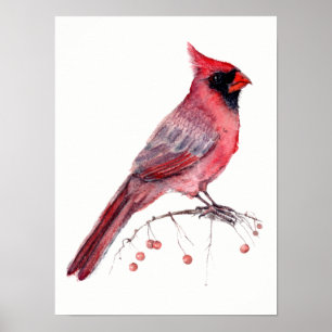 Affiche Red Cardinal Bird