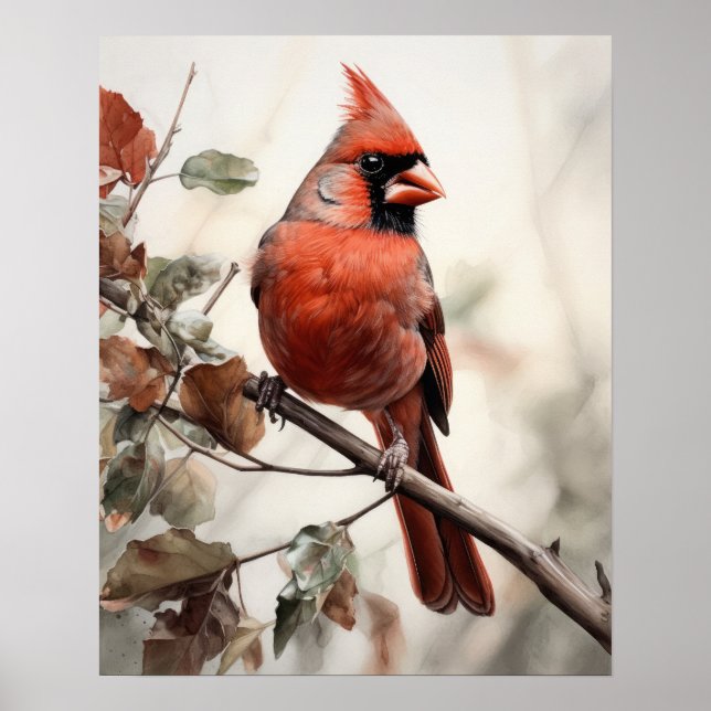 Affiche Red Cardinal Bird Art Imprimer l'affiche (Devant)
