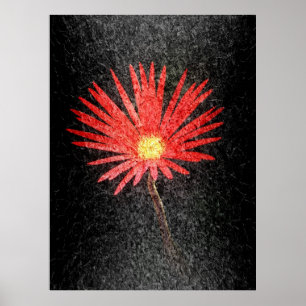Affiche Red Daisy sur l'arrière - plan noir   Art Abstrait
