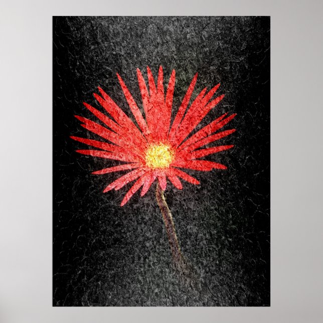 Affiche Red Daisy sur l'arrière - plan noir | Art Abstrait (Devant)
