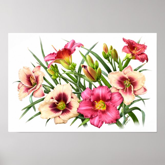Affiche Red Daylilies Botanical Art Print (Devant)