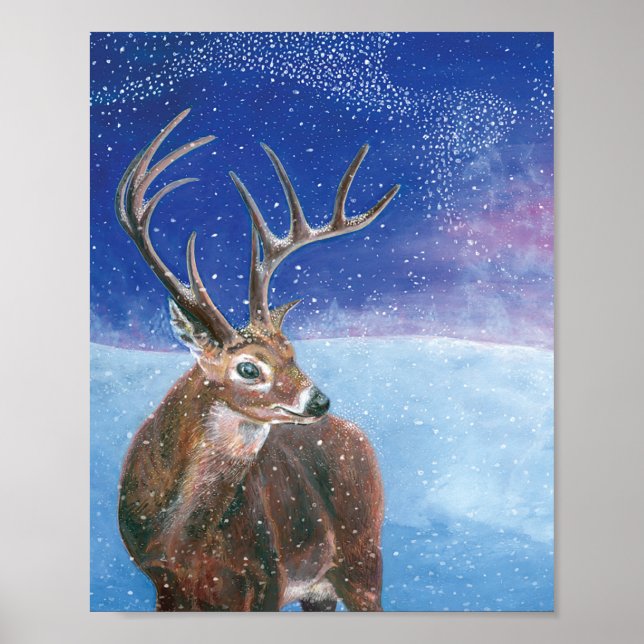 Affiche Red Deer stag in snow   (Devant)