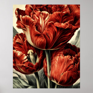 Affiche Red Dutch tulips
