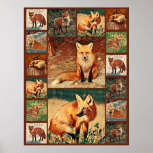 Affiche Red Fox Collage