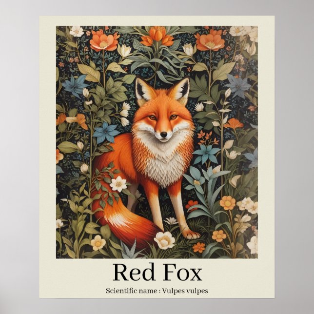 Affiche Red Fox Nom scientifique Faune (Devant)