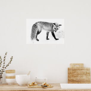 Affiche Red Fox WildLife Photographie noir et blanc Art