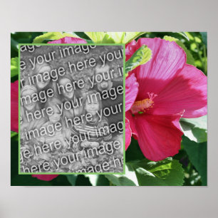 Affiche Red Hibiscus Flower Frame Ajouter Votre Photo