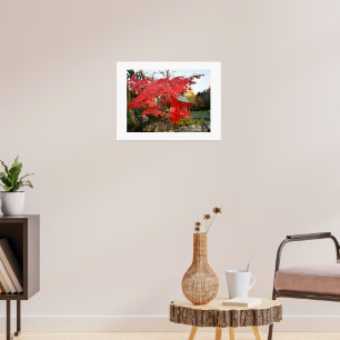 Affiche Red Japanese Maple and Garden Shirt Photo