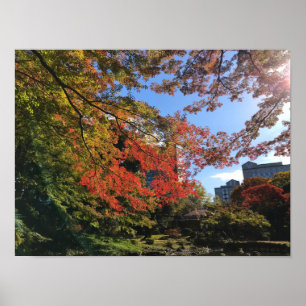 Affiche Red Maples au Jardin Japonais