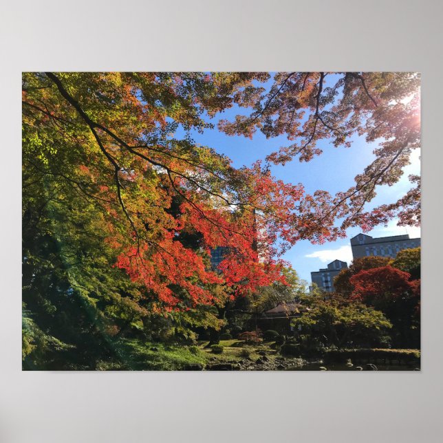 Affiche Red Maples au Jardin Japonais (Devant)