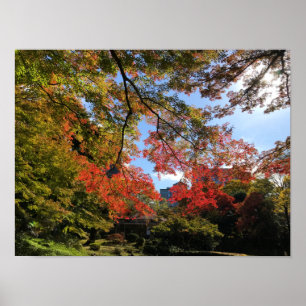 Affiche Red Maples au Jardin Japonais