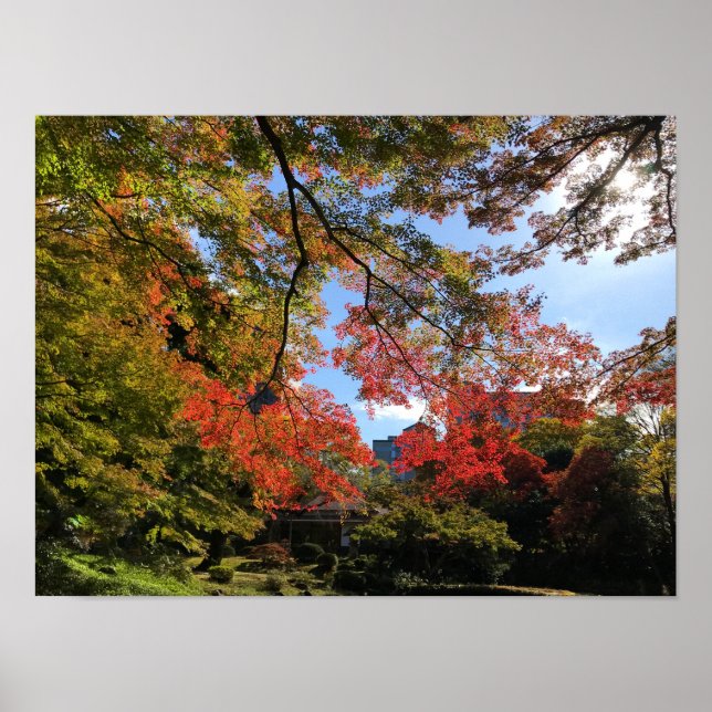 Affiche Red Maples au Jardin Japonais (Devant)