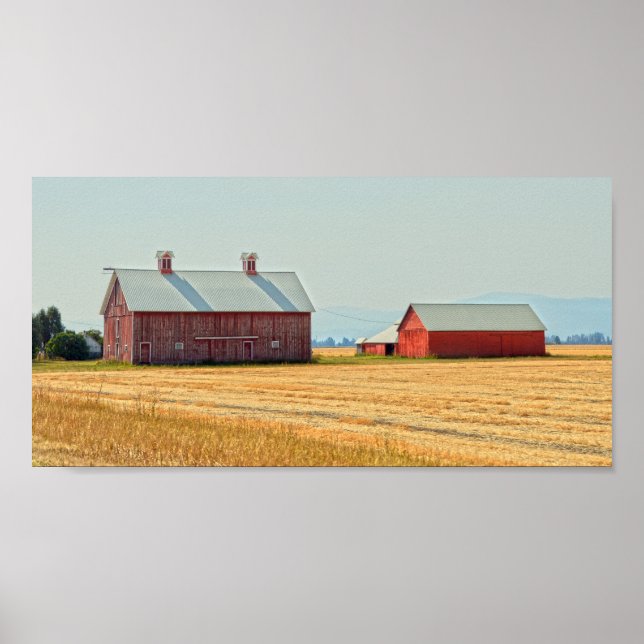 Affiche Red Montana Barns (Devant)