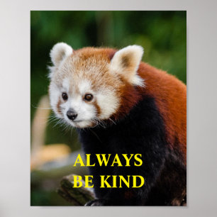 Affiche Red Panda Be Kind Citation Inspirationnelle Person